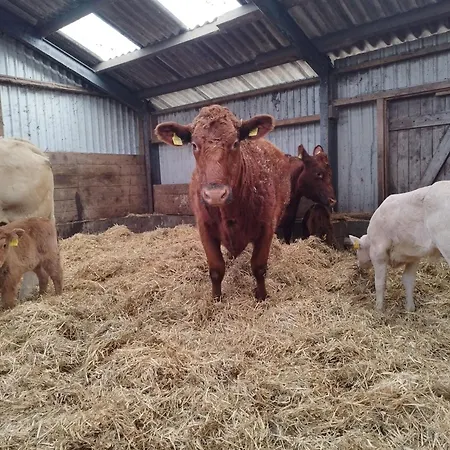Heuboden - Ferien Auf Dem Bauernhof Vakantieboerderij *