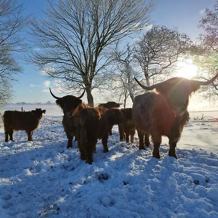 Vakantieboerderij Heuboden - Ferien Auf Dem Bauernhof *